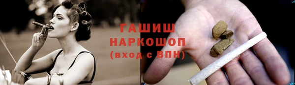 спиды Бородино