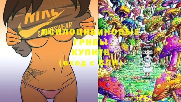 прущие крисы Бронницы
