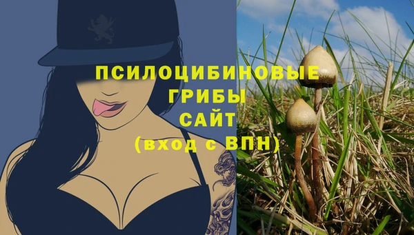 прущий лед Бугульма