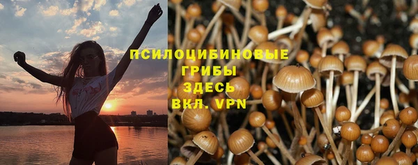спиды Бородино