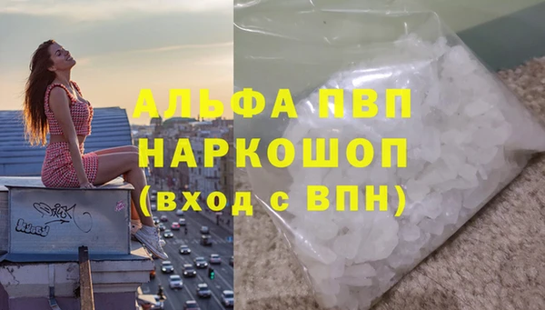 спиды Бородино