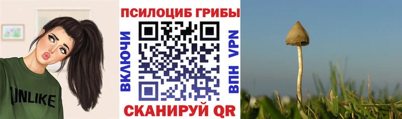 Псилоцибиновые грибы Magic Shrooms  ОМГ ОМГ ONION  Котельниково 